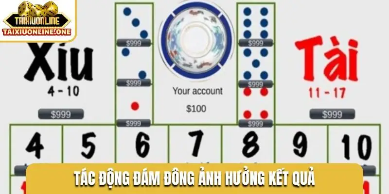 tac dong dam dong anh huong ket qua Tác động đám đông ảnh hưởng kết quả